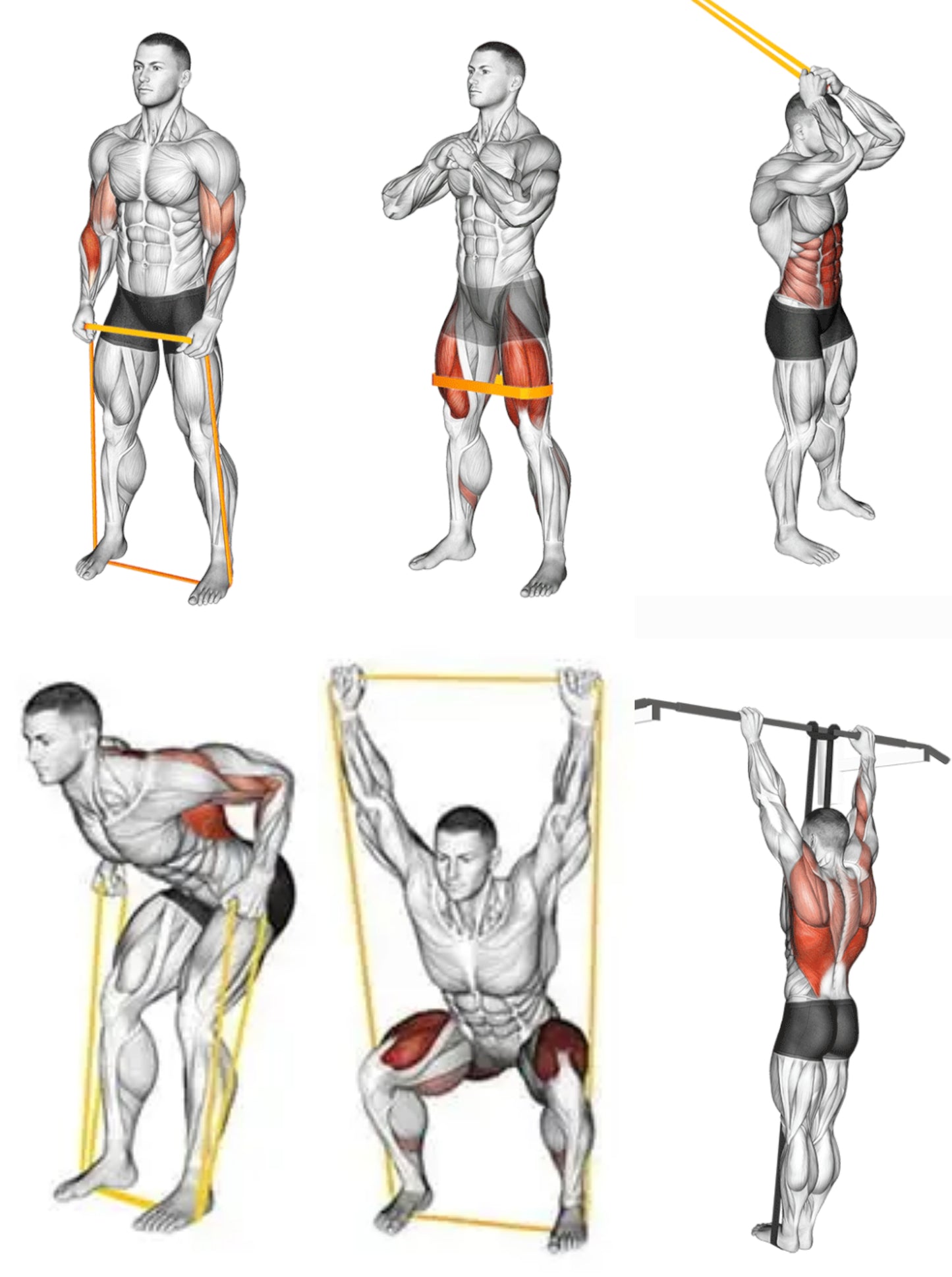 Bandes de Résistance Élastiques – Polyvalentes & Durables